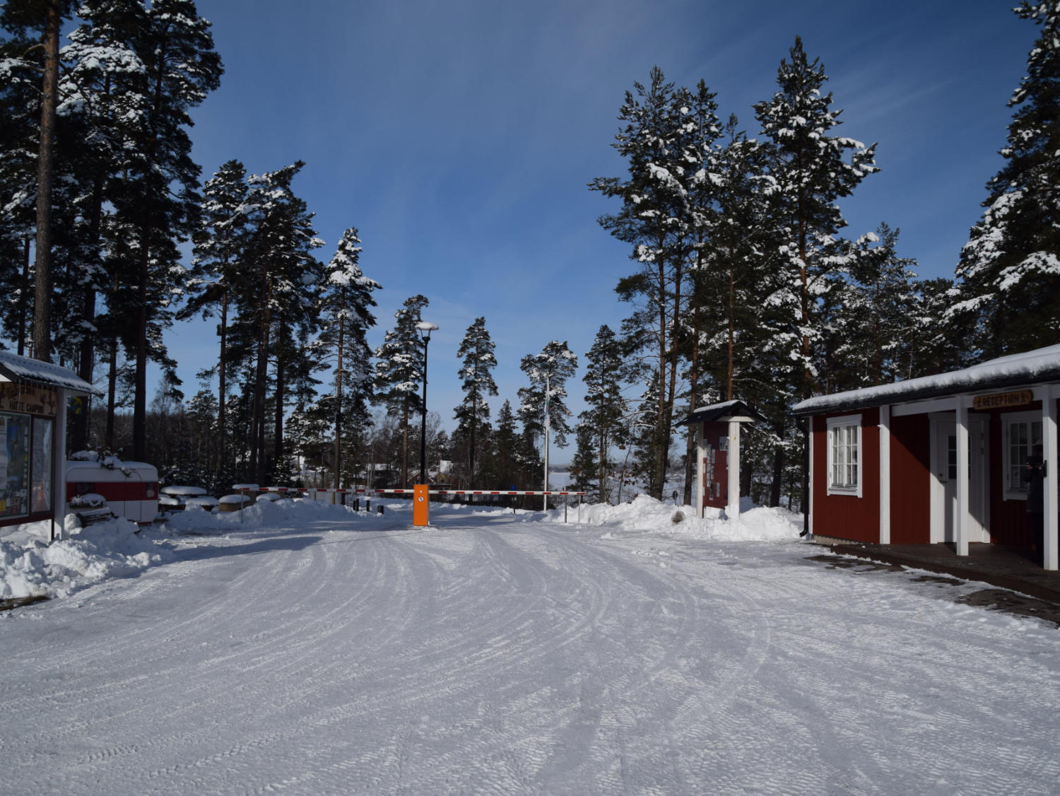 winter